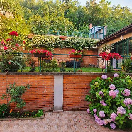 Villa Aya - With Sauna And Outdoor Swimming Pool Mostar Exterior photo
